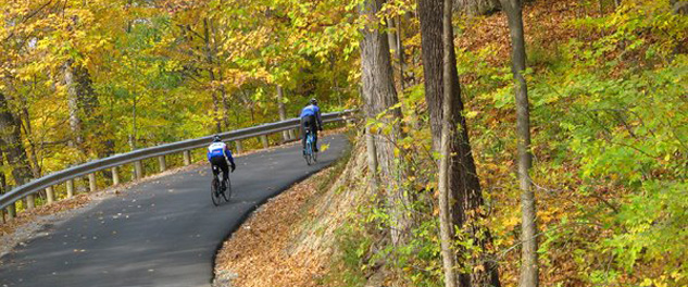 The beauty of nature revealed in the fall while cycling